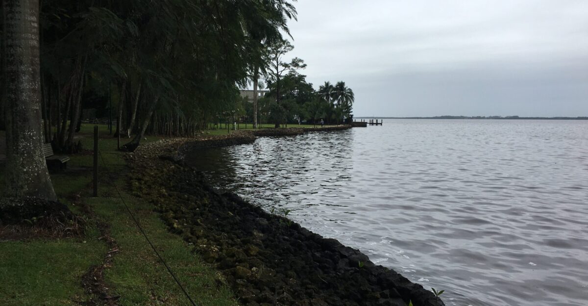 The Caloosahatchee River in Fort Myers Florida viewed from the Thomas Edison Estate