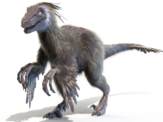The 9 Fastest Dinosaurs That Ever Existed