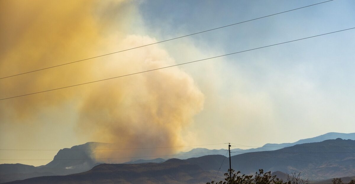 wildfire wild fire mountains desert new mexico plume smoke burning landscape nature burned environment ash