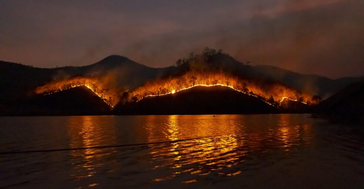 wildfire nature bushfire fire forest emergency