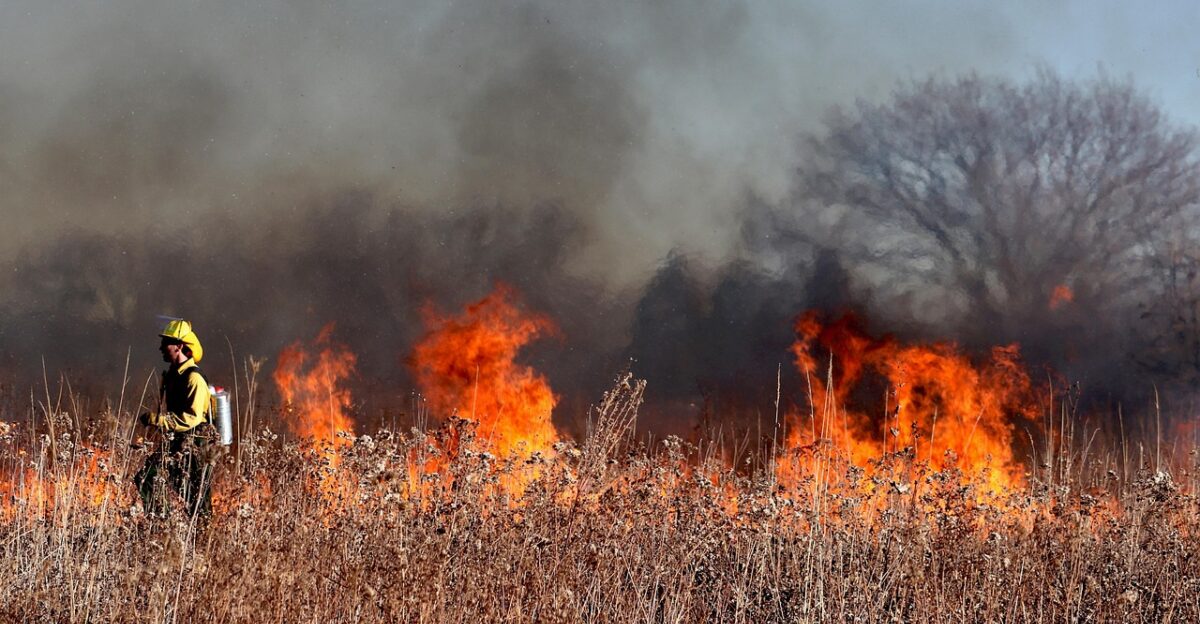 firefighter fire flames smoke burn burning grass fire wildfire firefighting wildfire wildfire wildfire wildfire wildfire
