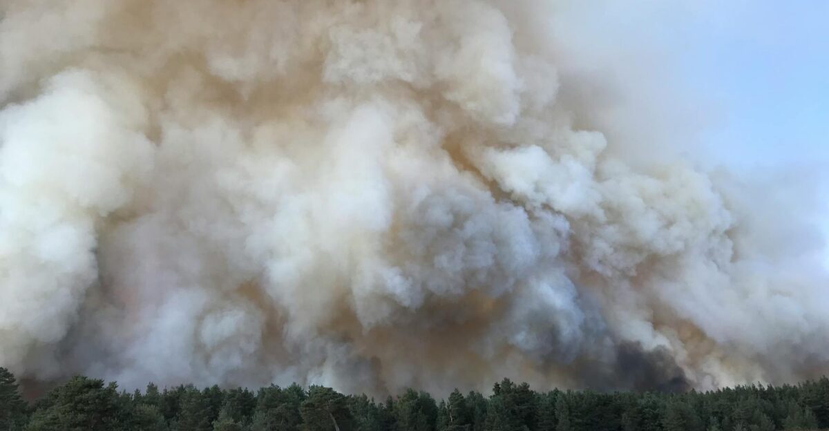 Dramatic scene of dense smoke clouds towering over a forest affected by wildfire