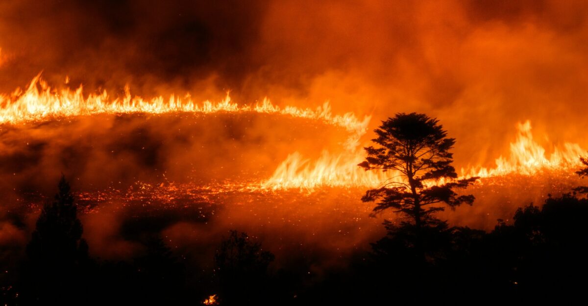 A large fire is burning in a field