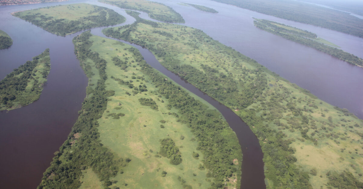 Congo River - Wikipedia