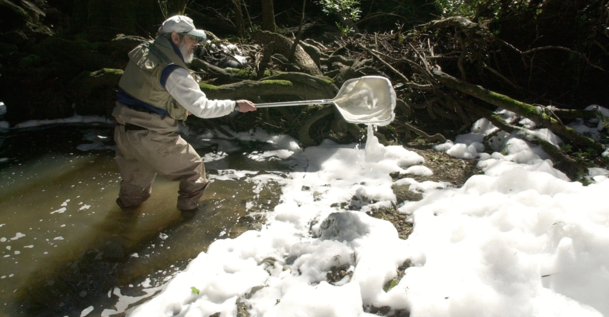 Proposed PFAS regulations ignore major source of drinking water contamination Grist by Key Illustration