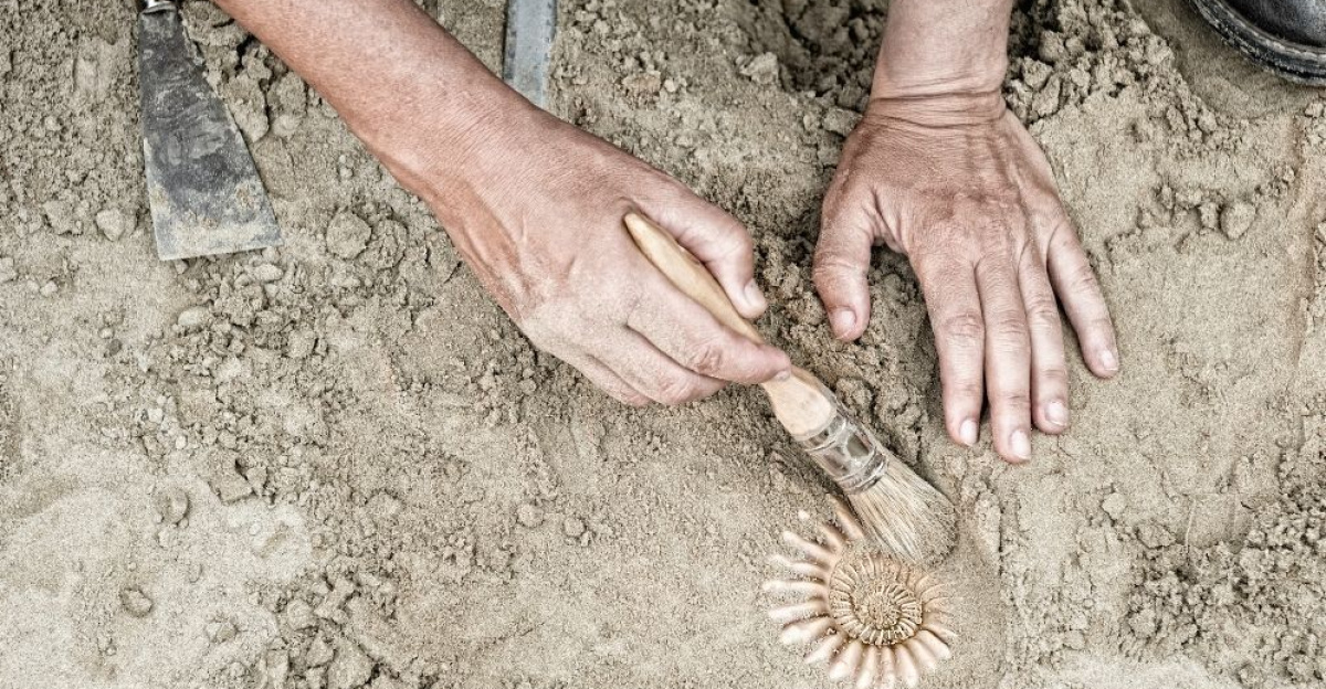 STEM Career Inspiration for Kids: Paleontologists by Deyse Bruns