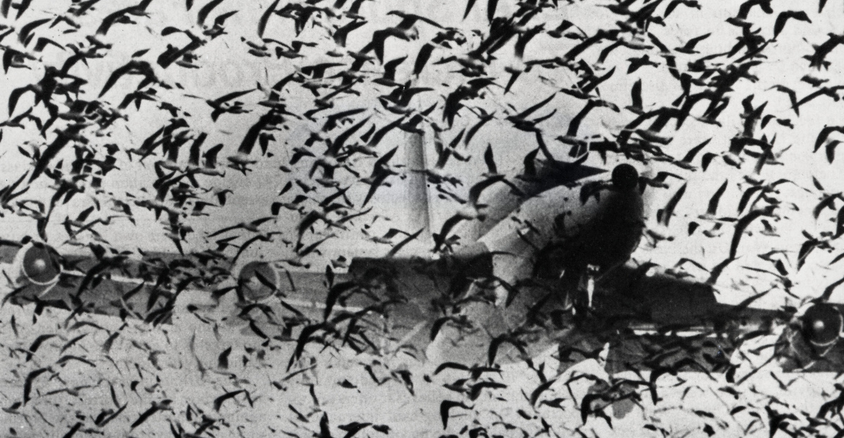 <div class="description">
<ul><li><b>Scope and content:</b> The original finding aid described this as:</li></ul>
<p>Capture Date: 3/25/1976
</p>
Keywords: Larsen Scan</div>