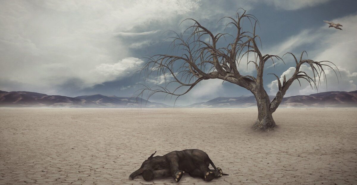 Driver of the largest mass extinction in the history of the Earth identified by Charmaine Bentley
