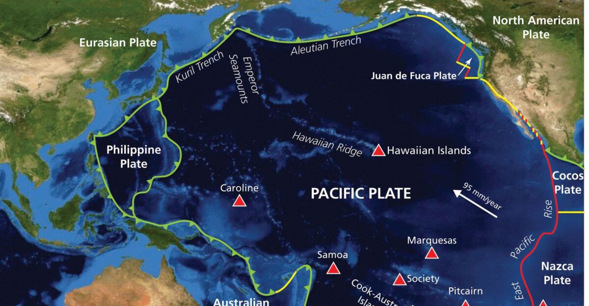 Movements of Plates by Henryarun