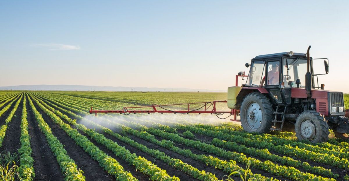 A Decade of Pesticides GMOs and Alternatives to Chemical-Intensive Farming by Marina