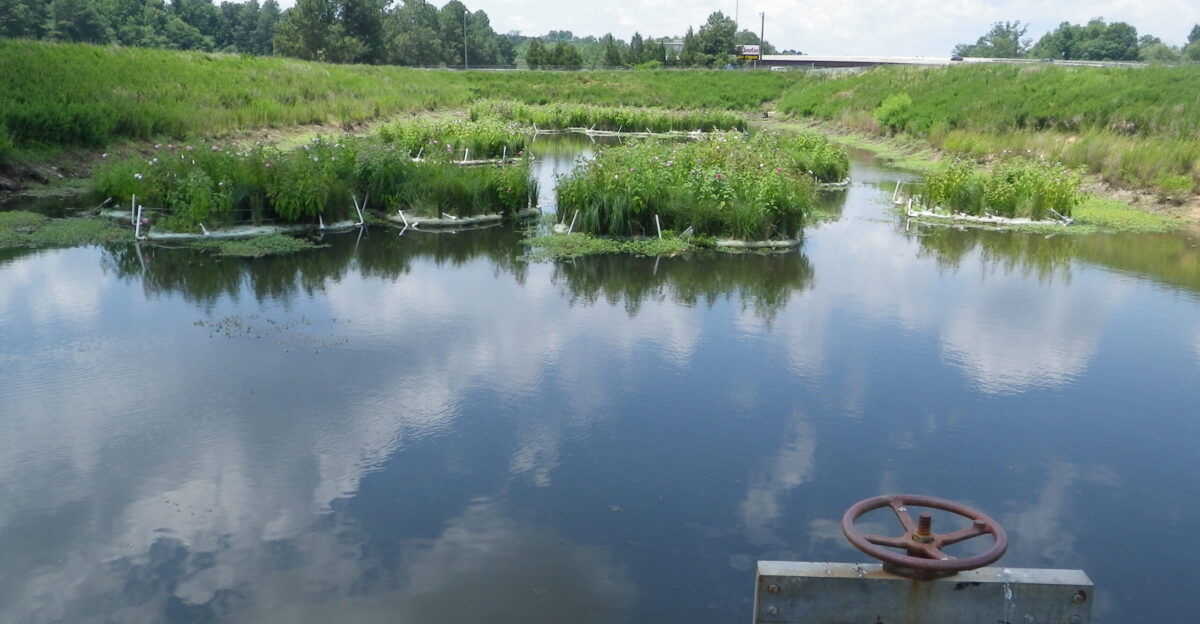Floating Treatment Wetlands Show Promise as Pond Retrofit