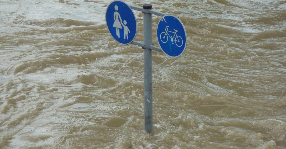 flood sign downfall water flooding flooded environment catastrophe pedestrian cyclist danube natural disaster environmental protection storm danube bank riverbank force of nature nature climate protection water level flow riverside flood of the century civil protection climate change flood disaster earth day