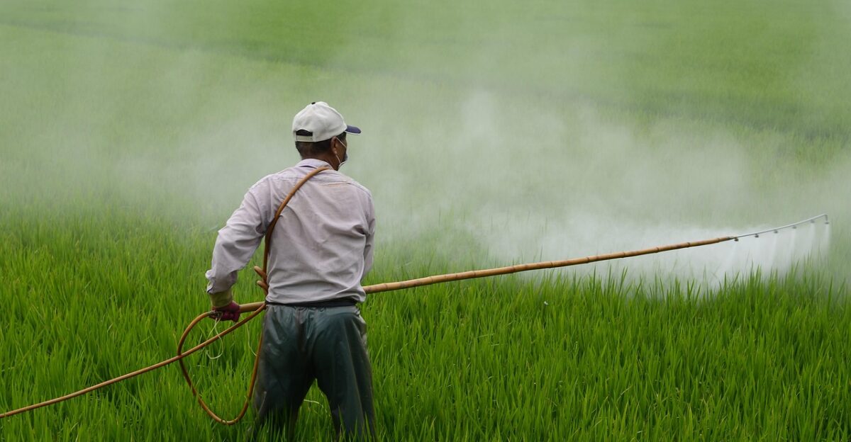 herbicide farmer in rice field pesticide poison farmer farmer pesticide pesticide pesticide pesticide pesticide
