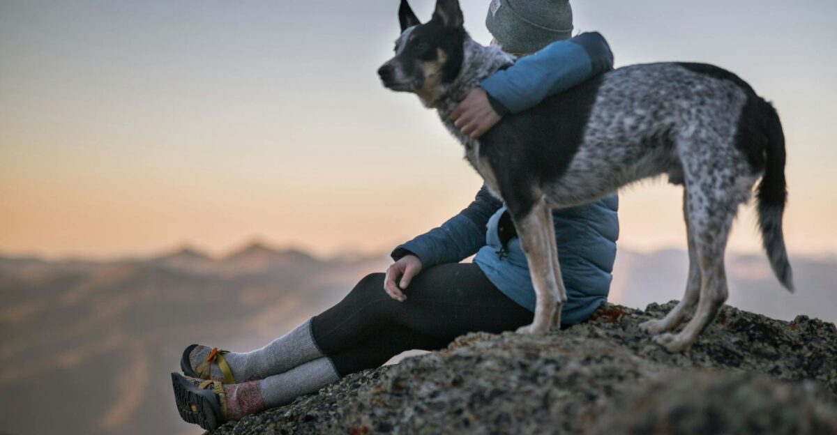 A person wearing a beanie and winter jacket sits on a rocky mountain with a dog overlooking sunset views