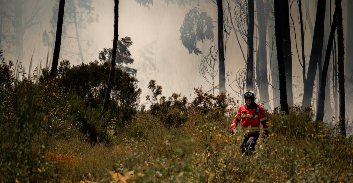 A firefighter moves through a smoke-filled forest in Portugal highlighting the danger and urgency of wildfire response