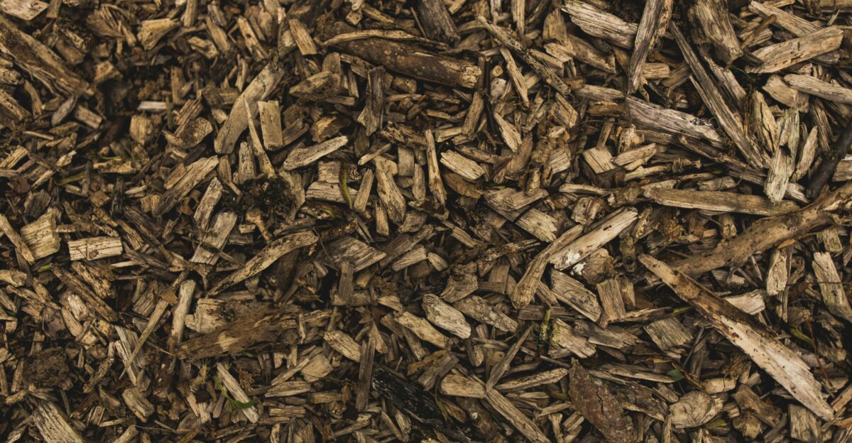 firewood lot
