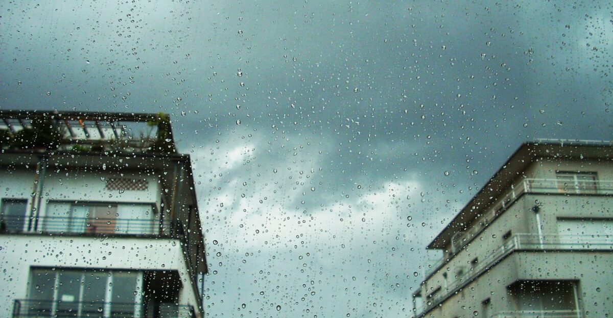 focused photo of glass panel raindrops