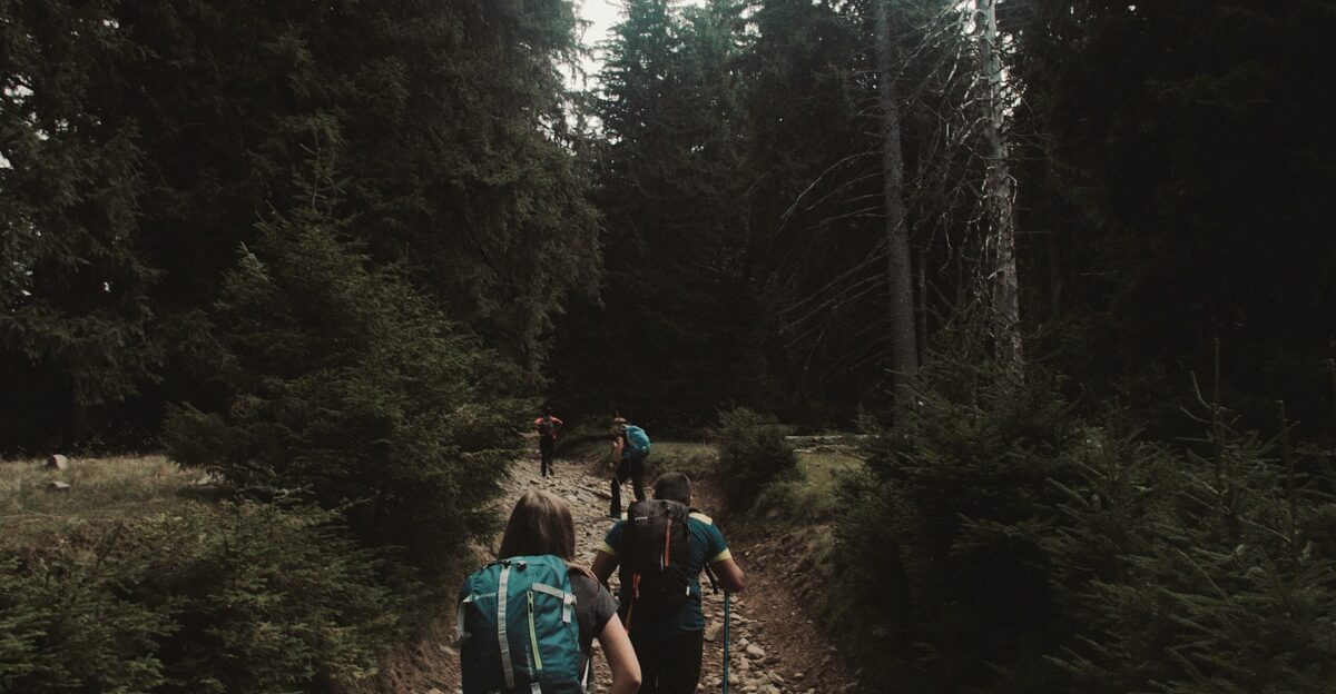 four person trekking surrounded with trees