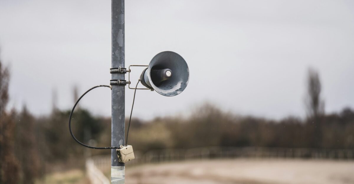 a black and white camera on a pole