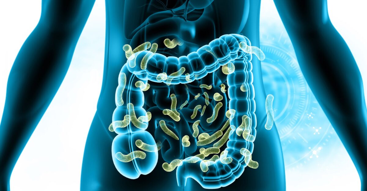 Breakthrough in PFAS detox Probiotic bacteria could help